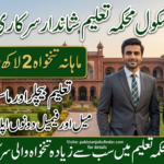 Maryam Nawaz School Jobs 2026